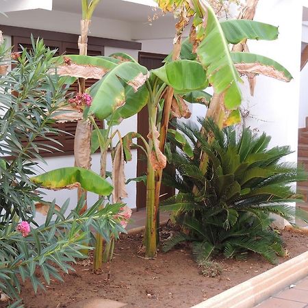 Apartamentos Sal Rossa Ibiza-Stadt Exterior foto