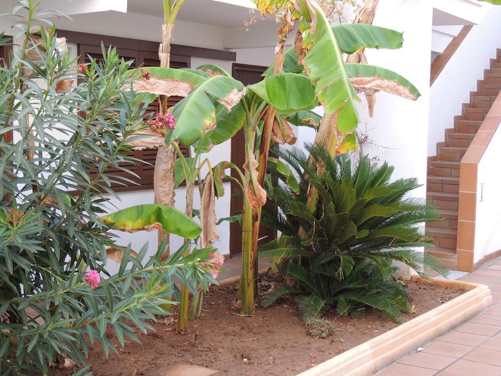 Apartamentos Sal Rossa Ibiza-Stadt Exterior foto